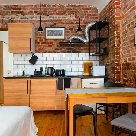 Wyspa Slodowa Bricks Studio Διαμέρισμα *